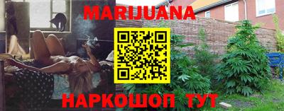 мдпв Камышлов