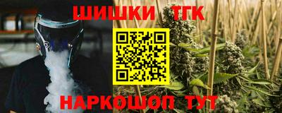 мдпв Камышлов