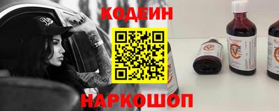 мдпв Камышлов