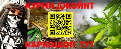 мдпв Камышлов