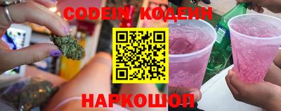 мдпв Камышлов